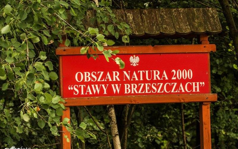 Dzikie wysypisko śmieci - InfoBrzeszcze.pl