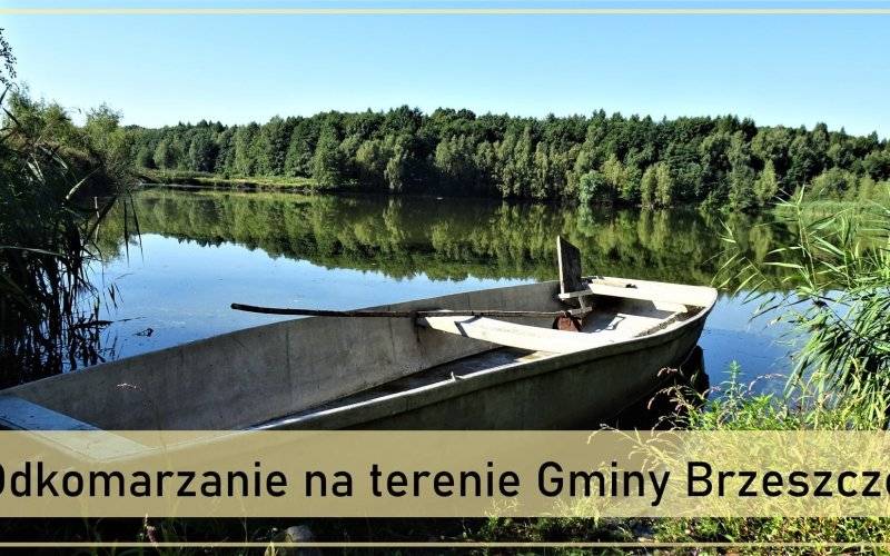 Trwa akcja odkomarzania na terenie Gminy Brzeszcze - InfoBrzeszcze.pl
