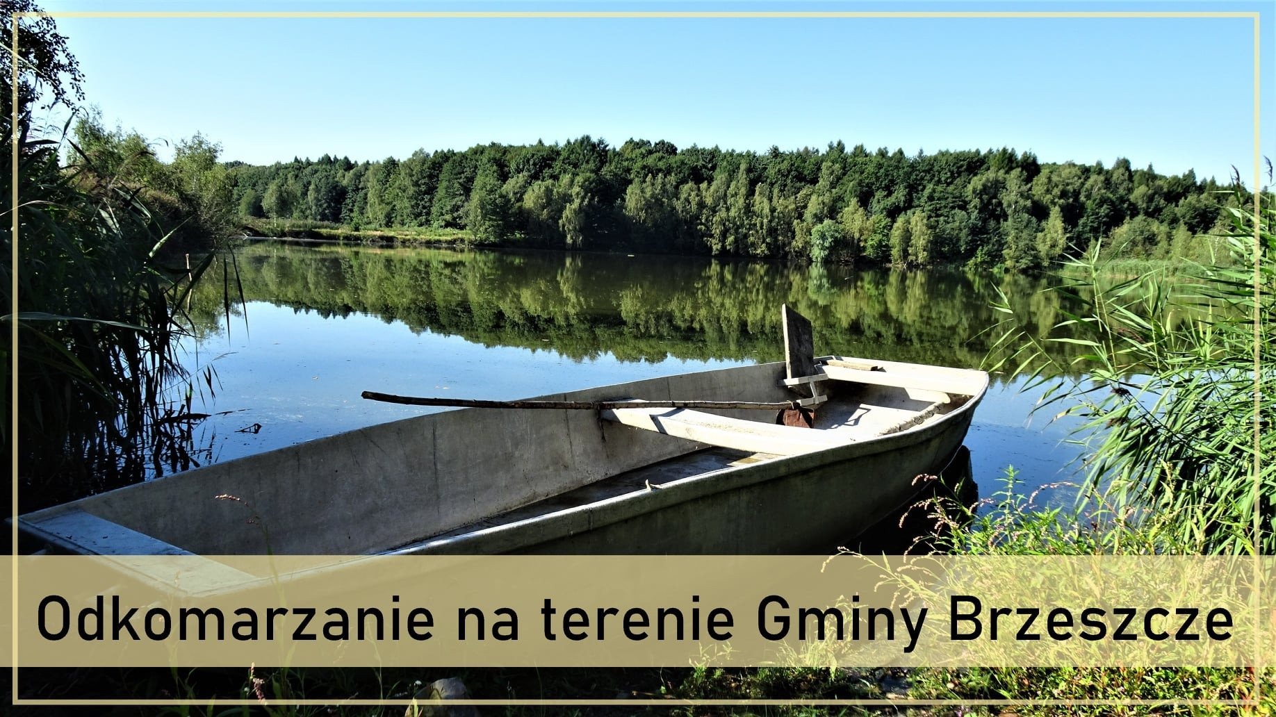 Trwa akcja odkomarzania na terenie Gminy Brzeszcze - InfoBrzeszcze.pl