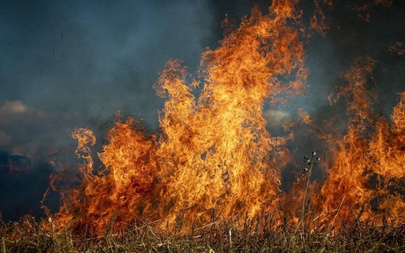 ARiMR przypomina: wypalanie traw jest karalne - InfoBrzeszcze.pl