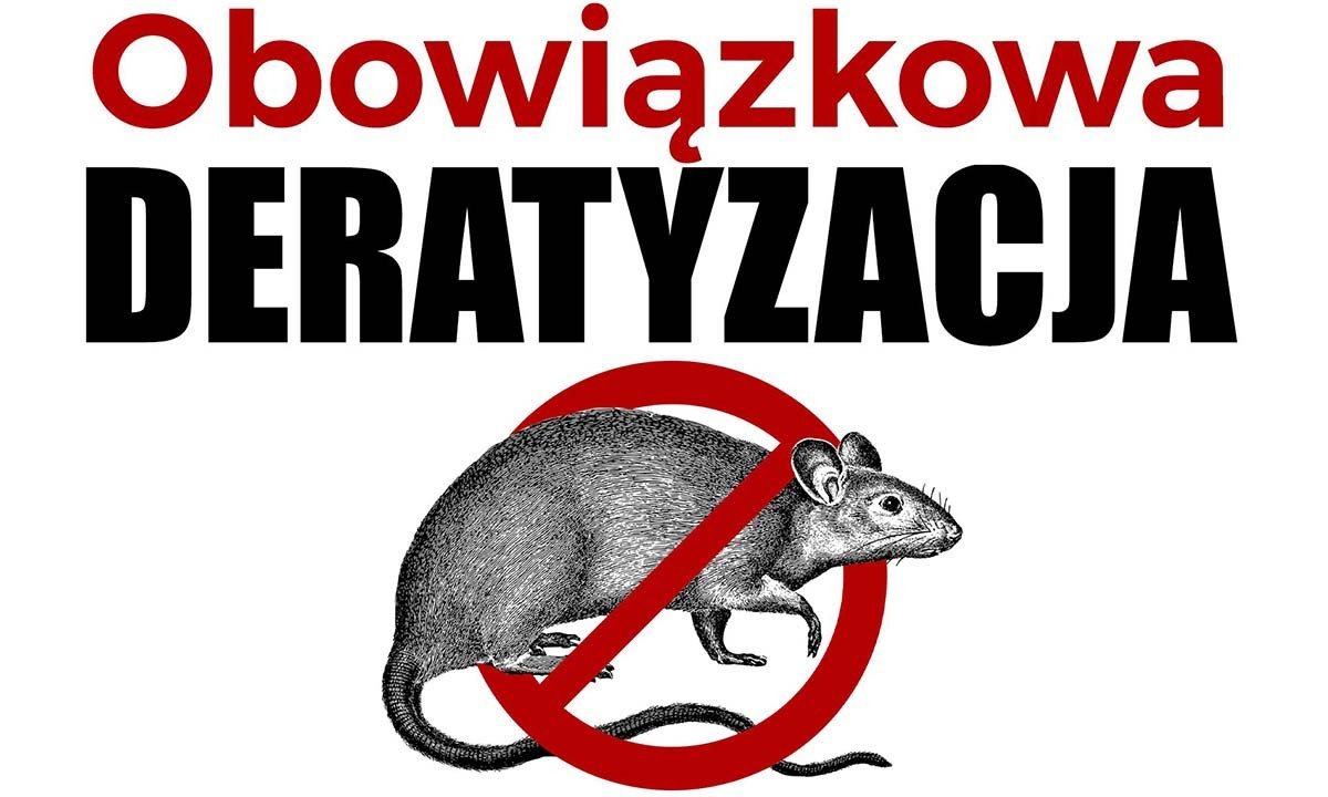 Deratyzacja na terenie Gminy Brzeszcze - InfoBrzeszcze.pl