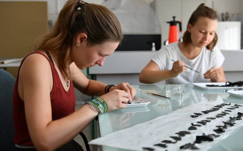 Zostań wolontariuszem w Archiwum Miejsca Pamięci - InfoBrzeszcze.pl