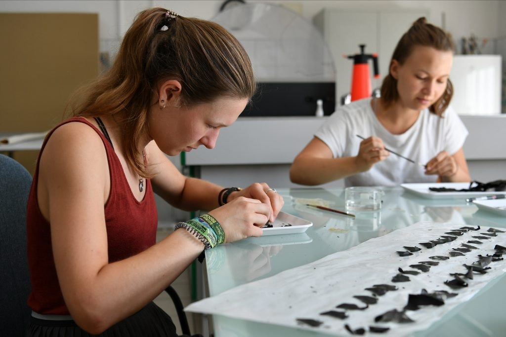 Zostań wolontariuszem w Archiwum Miejsca Pamięci - InfoBrzeszcze.pl