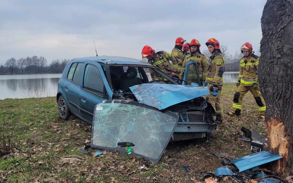 Wypadł z jezdni i uderzył w drzewo - InfoBrzeszcze.pl