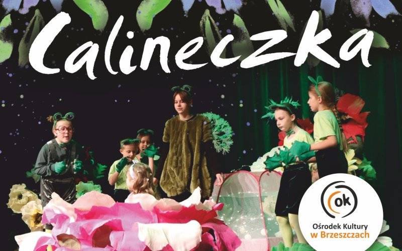 CALINECZKA - spektakl teatralny w wykonaniu dziecięcej Grupy Teatralnej BAJDURKI. - InfoBrzeszcze.pl