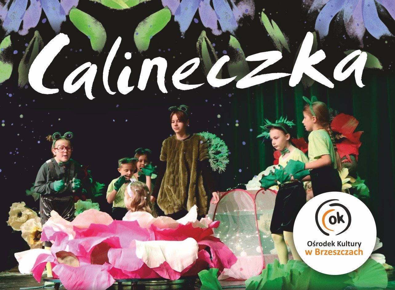 CALINECZKA - spektakl teatralny w wykonaniu dziecięcej Grupy Teatralnej BAJDURKI. - InfoBrzeszcze.pl