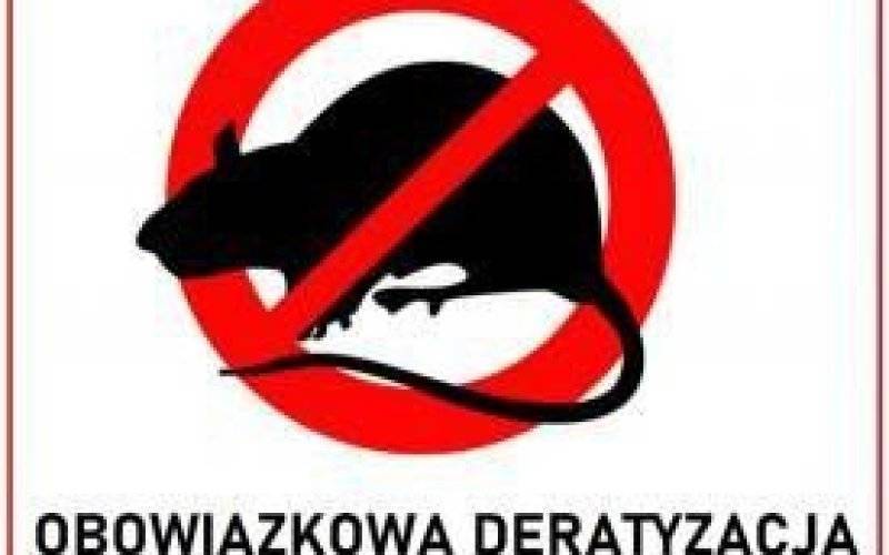 Deratyzacja na terenie Gminy Brzeszcze - InfoBrzeszcze.pl