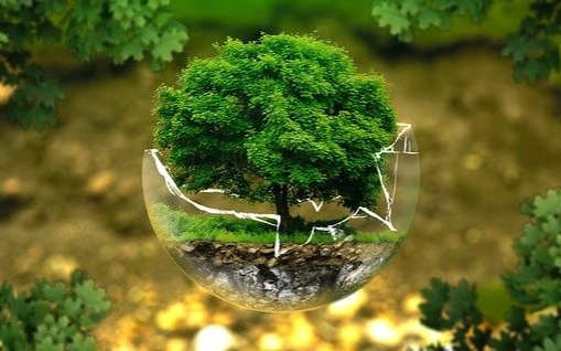 Program ochrony środowiska dla Powiatu Oświęcimskiego na lata 2025-2030 - InfoBrzeszcze.pl