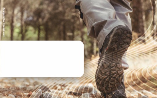 SPACER HISTORYCZNO-PRZYRODNICZY W RAMACH ZADANIA „ETNO SKARBY BRZESZCZ”. - InfoBrzeszcze.pl