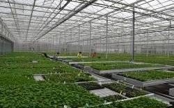 Spółka z Zaborza rzuciła wyzwanie zachodnim gigantom