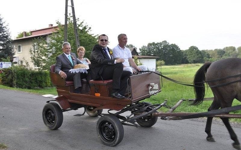 Święto Plonów w Pławach