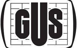 Badania ankietowe GUS