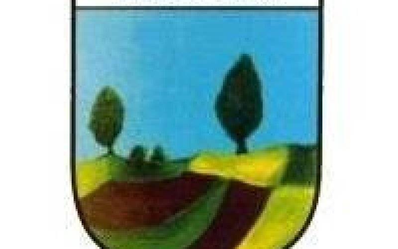 Zmiana miejscowego planu zagospodarowania przestrzennego w Zaborzu - ul. Borowiec i Grojecka
