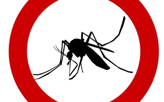 Akcja "odkomarzania" rozpoczęta