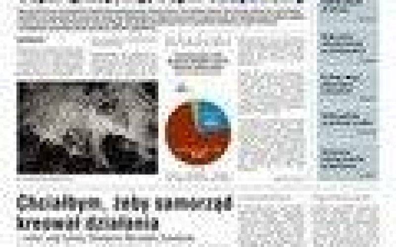 "Oświęcimska Gmina" listopad 2019