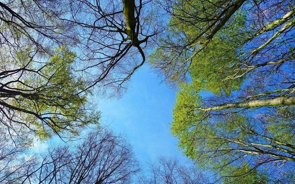 Konsultacje Programu ochrony powietrza