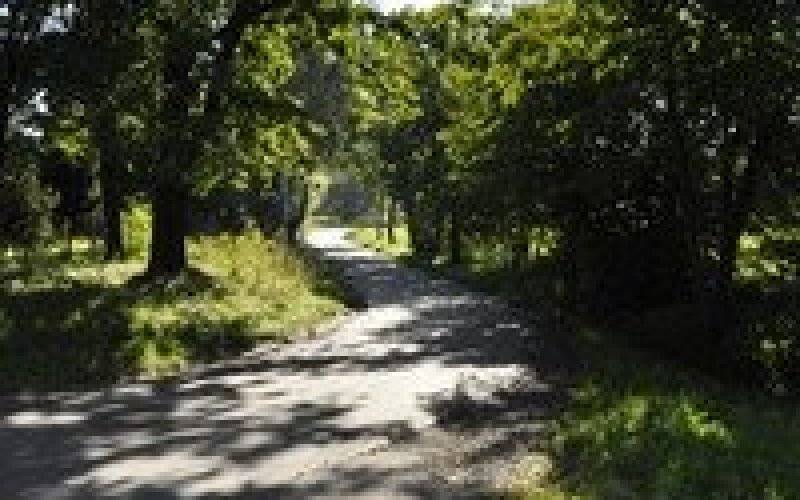 Grojec: inwestycja na Ogrodowej