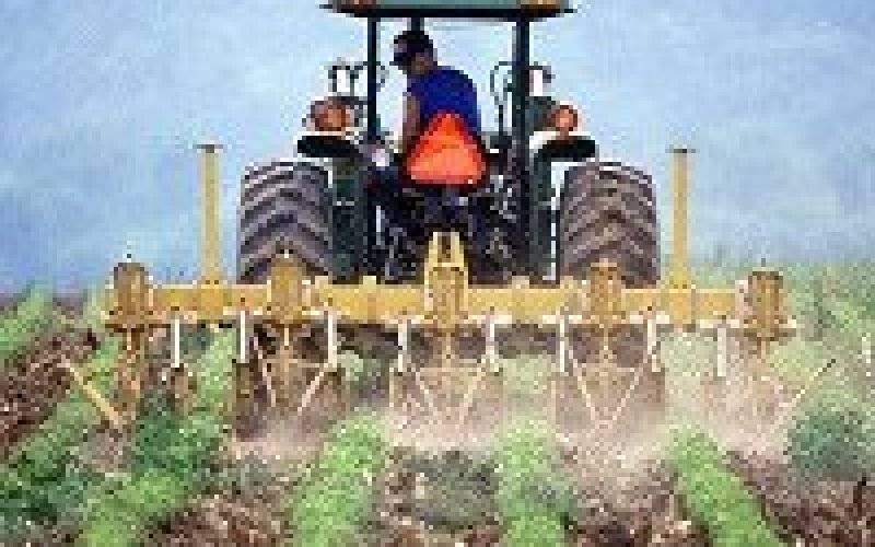 Dotacje i niskooprocentowane pożyczki dla rolnikóww programie AGROENERGIA