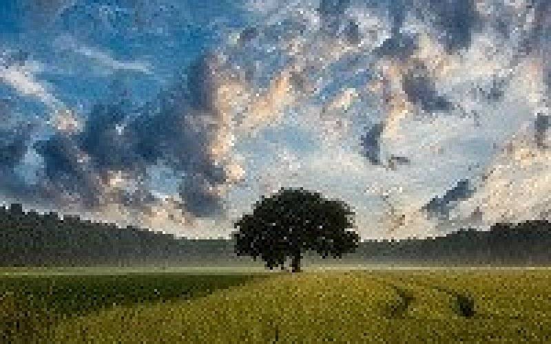 Bezpłatne szkolenia dla rolników