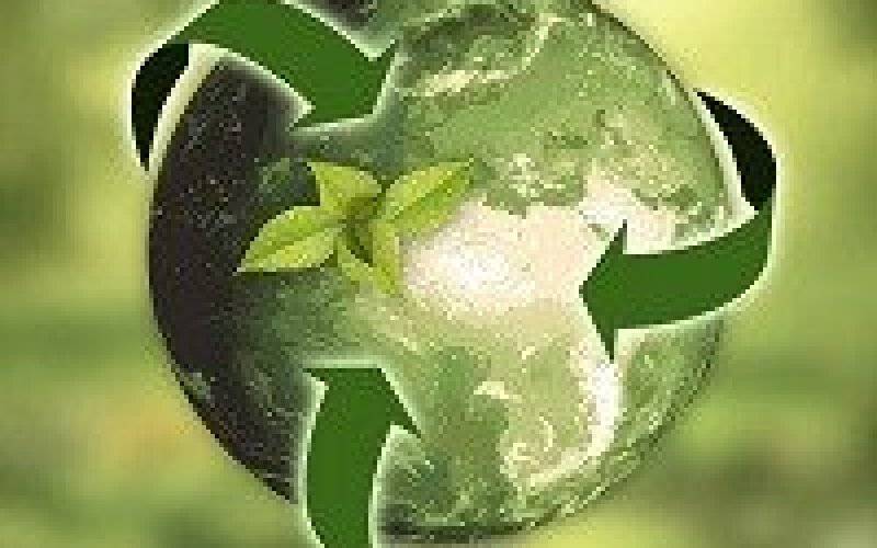 Zero waste w praktyce