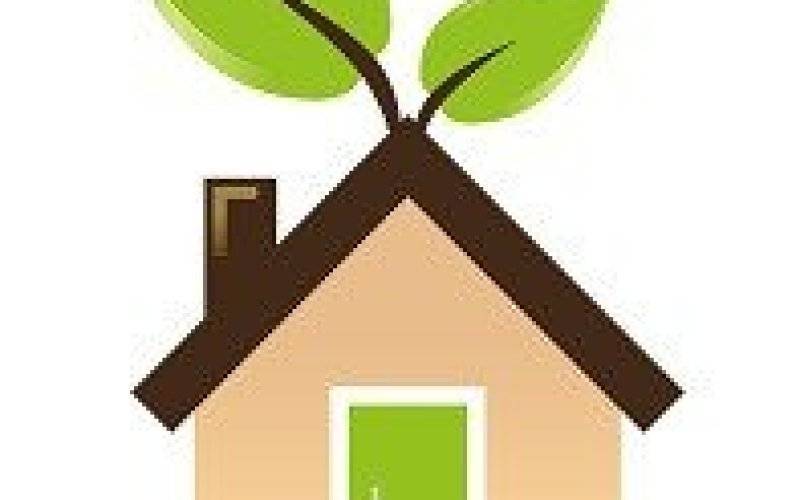 Dom z dobrym klimatem. Ekoporadnik dla właścicieli budynków