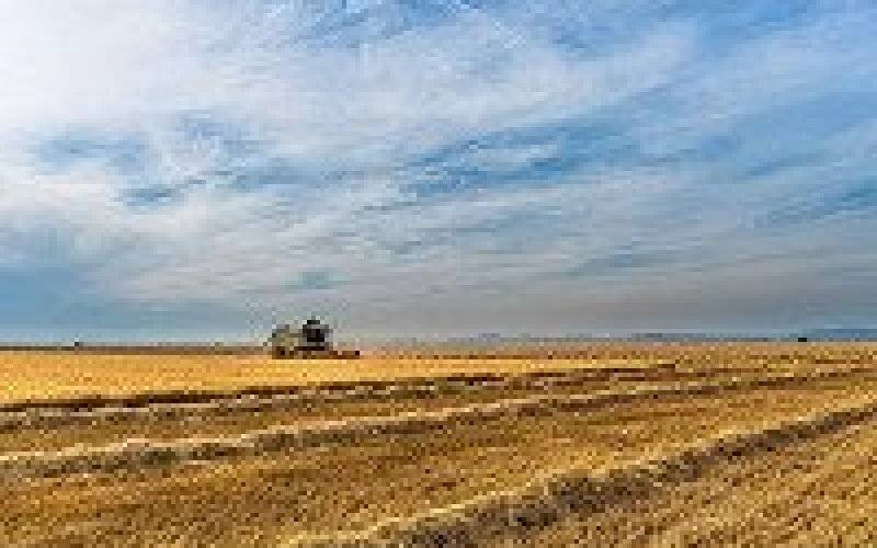 Jak połączyć działania przyjazne dla klimatu z rentowną uprawą i hodowlą? Ekoporadnik dla rolników