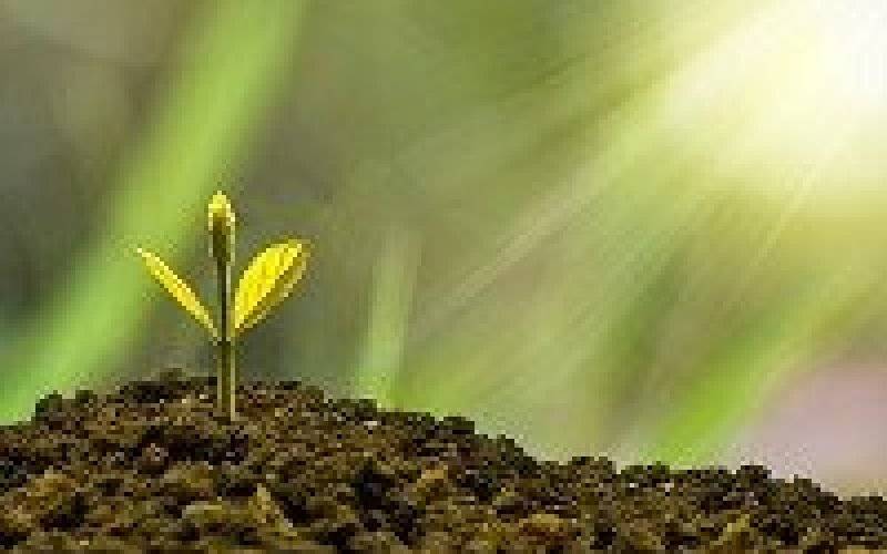 Sposób na sukces - konkurs