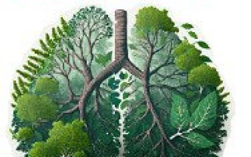 Konkurs rodzinny „Czyste płuca naszej planety” - wyniki