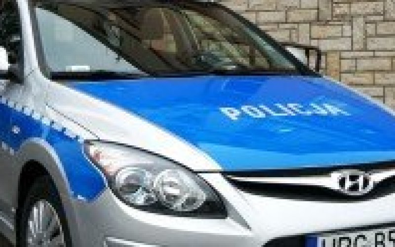 Oświęcim. Policjanci i instruktorzy Polskiego Związku Instruktorów Służb Mundurowych szkolili klasy policyjne