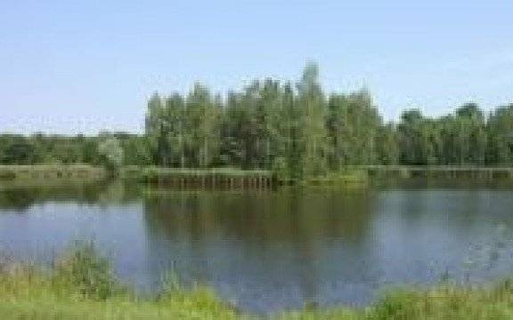 Gmina Kęty. Po pijaku wpadł do stawu, ale nie zapomniał o ... maseczce.