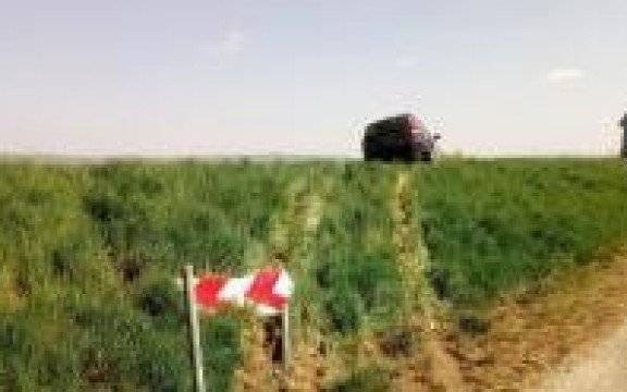 Gmina Zator. Drogowy przestępca wypadł z zakrętu i wjechał na skarpę