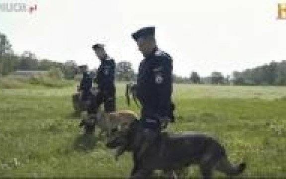 KGP. Polskie K-9. Jak zostać przewodnikiem psa policyjnego.