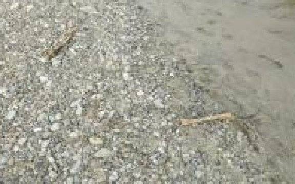 Oświęcim. Śledczy badają sprawę odnalezienia kości w rzece Sole