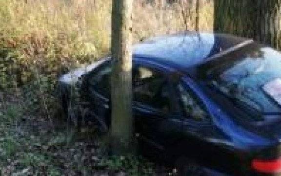 Gmina Przeciszów. Dwa drzewa stanęły na drodze pijanej sprawczyni kolizji