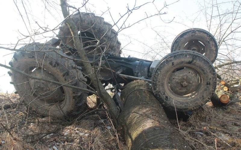 Głębowice. Śmierć podczas wycinki drzewa