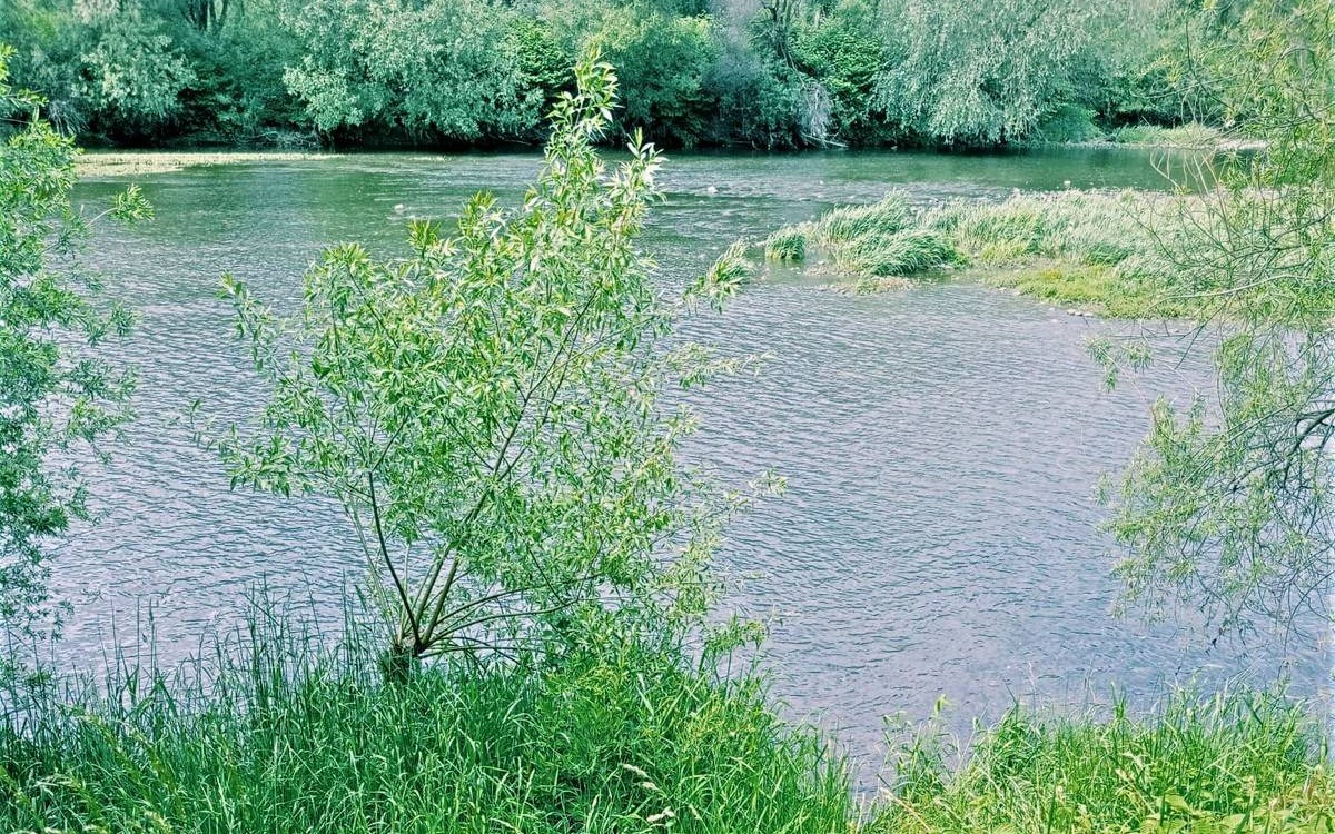 Gmina Kęty. Śledczy ustalają okoliczności zgonu 80 – latki, która wpadła do rzeki Soły