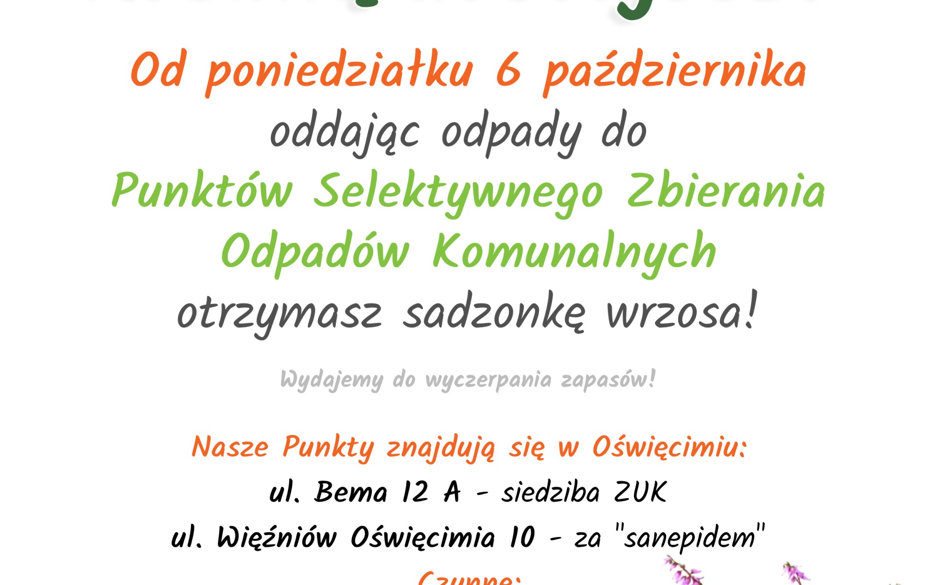 Oświęcim. Odpady oddajesz, wrzosy dostajesz! Akcja ZUK promująca Punkty Selektywnego Zbierania Odpadów Komunalnych