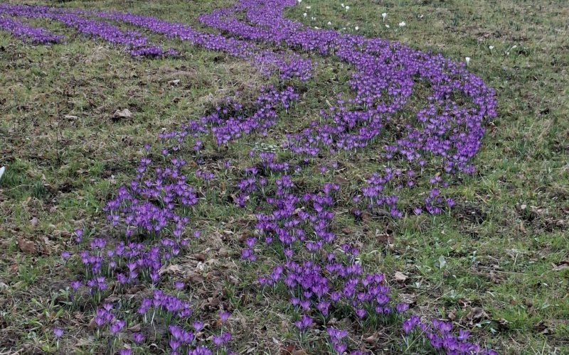 Oświęcim. Spacer, relaks i zabawa. Bulwary zaskoczą nowymi atrakcjami