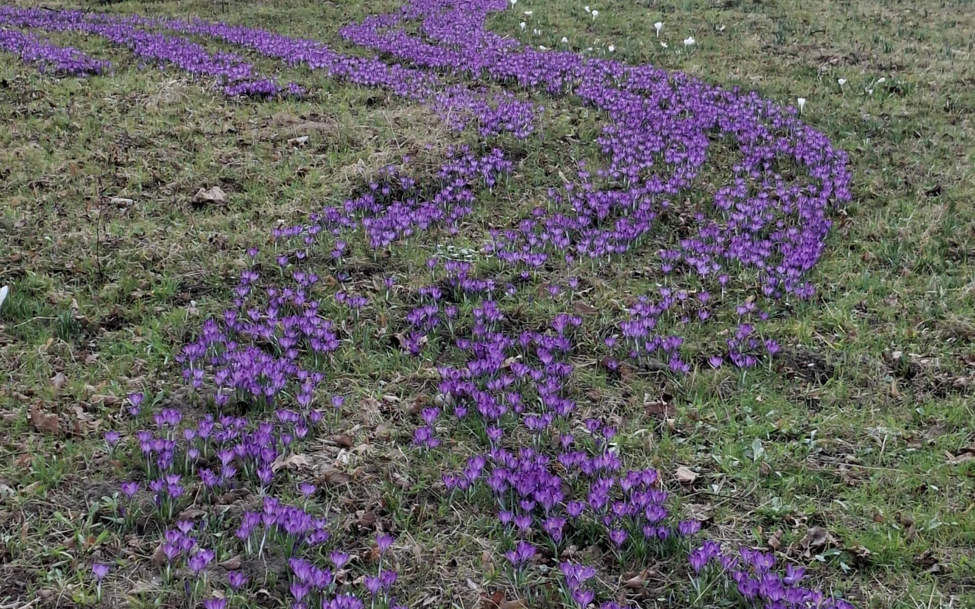 Oświęcim. Spacer, relaks i zabawa. Bulwary zaskoczą nowymi atrakcjami
