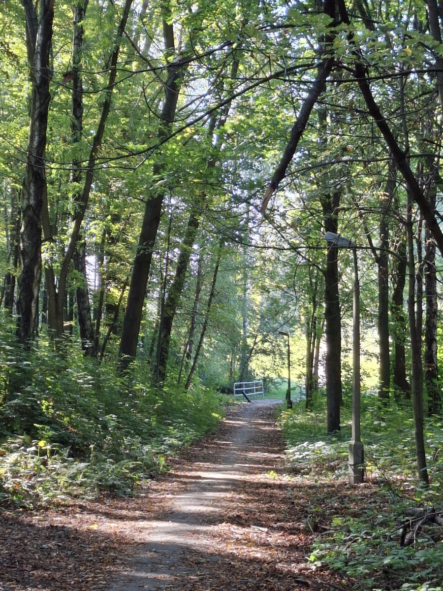 Oświęcim. Park Pokoju poszerza się. Będą nowe atrakcje