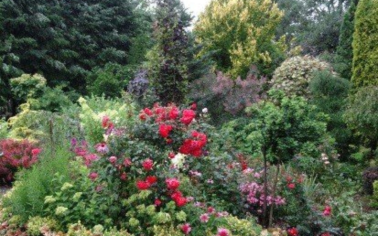 Od tego roku właściciele nieruchomości nie muszą mieć pozwoleń na wycinkę drzew. Ważne zmiany w ustawie o ochronie przyrody i ustawie o lasach