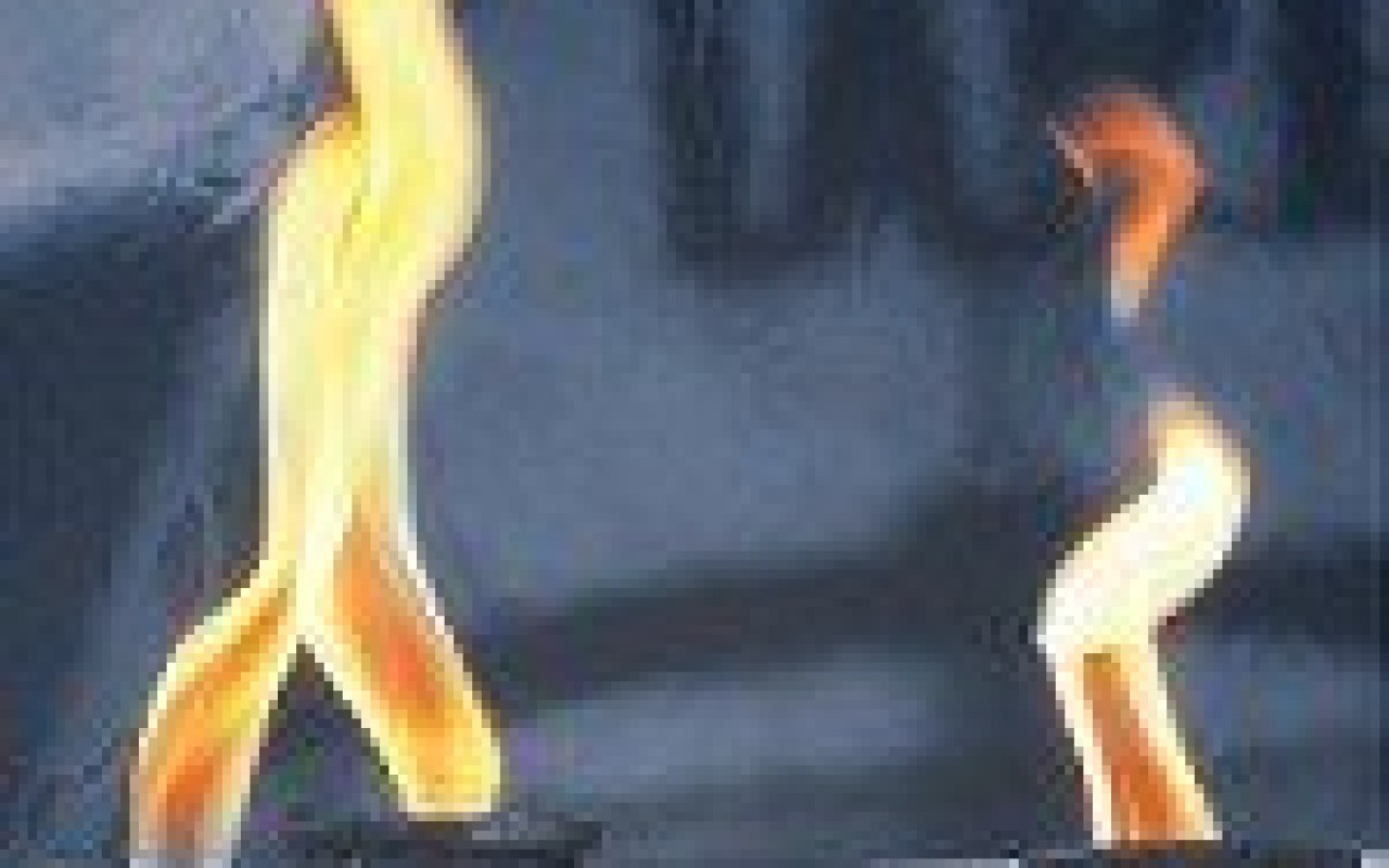 Oświęcim. Uroczystości 72. rocznicy oswobodzenia KL Auschwitz-Birkenau i miasta Oświęcimia