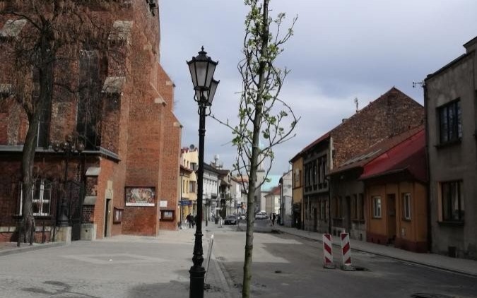 Oświęcim. Grusze chanticleer ozobiły ulicę Jagiełły
