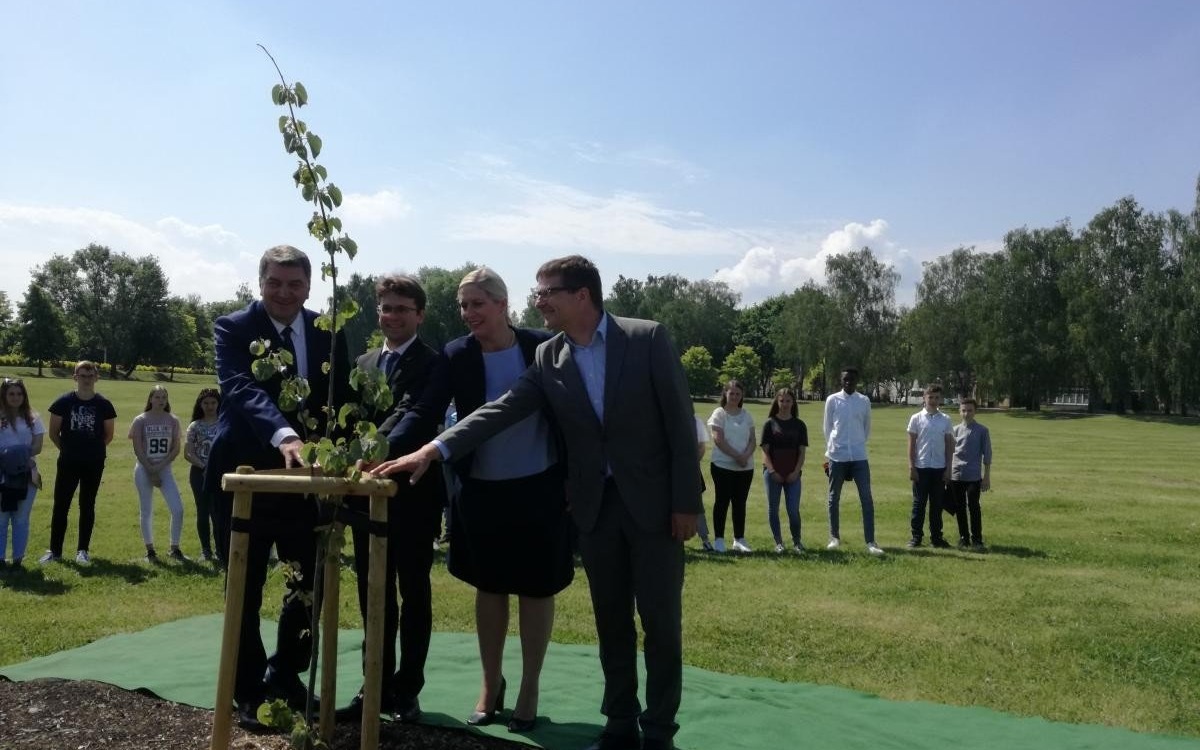 Oświęcim. Drzewo z Dachau. Symbol porozumienia i działań na rzecz pamięci