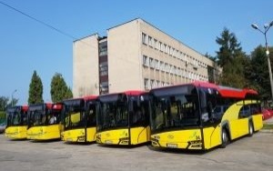 Oświęcim. W sobotę zostaw samochód i jedź autobusem za darmo!