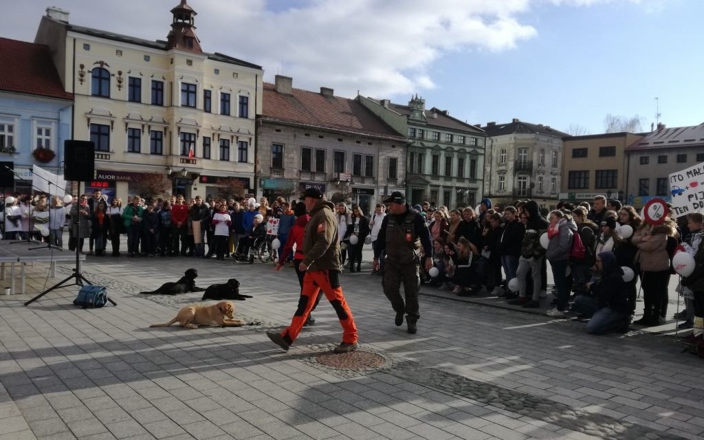 Oświęcim. Oświęcimska młodzież zbierała deklaracje od kierowców w ramach kampanii "No promil-No problem"