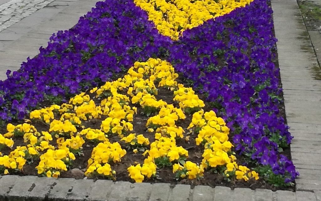 Oświęcim. Wiosenne nowości