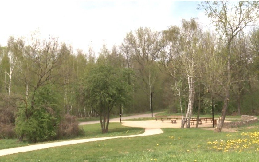 Oświęcim. Dzień latawca w Parku Pojednania Narodów