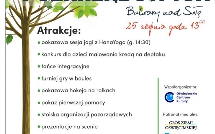 Oświęcim. Piknik Organizacji Pozarządowych na bulwarach