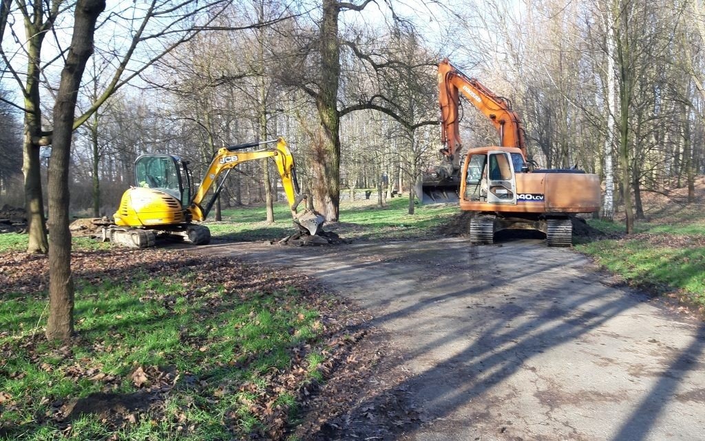 Oświęcim. Zakończyło się porządkowanie drzewostanu w parku Pokoju. Teraz trwa wycinka drzew pod budowę gazociągu, którego inwestorem jest spółka Gaz-System
